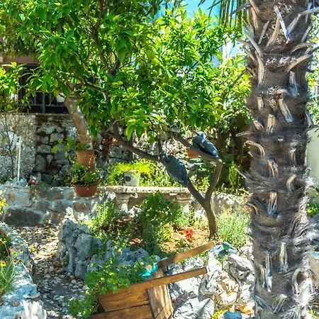 בית נופש House Goran *